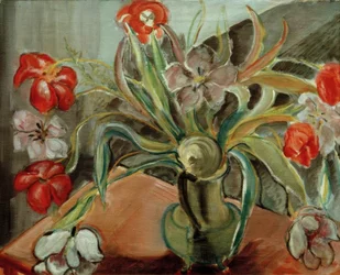 Tulipes rouges et blanches